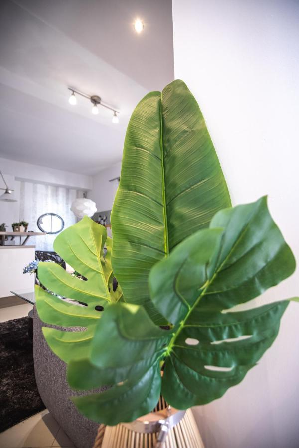 וולוס Luxury & Cozy Apartment מראה חיצוני תמונה